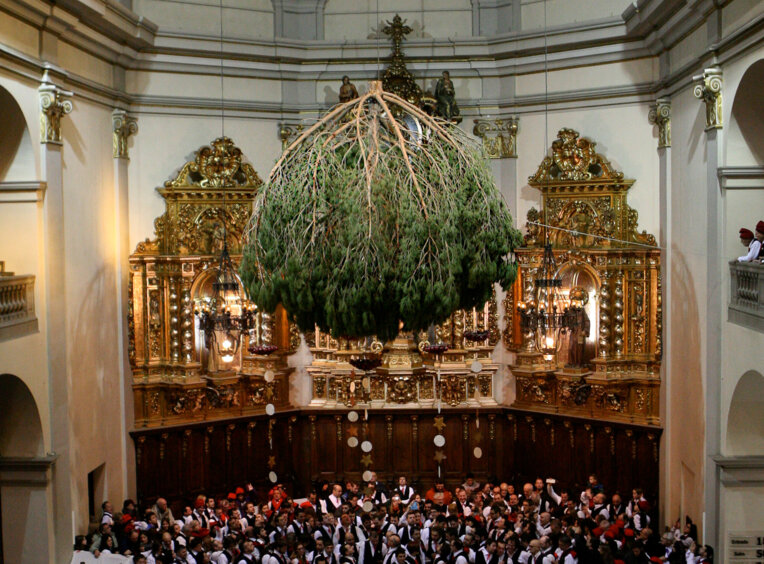 Festa del pi de Centelles
