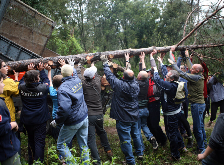 Festa del pi de maig a Sant Llorenç Savall