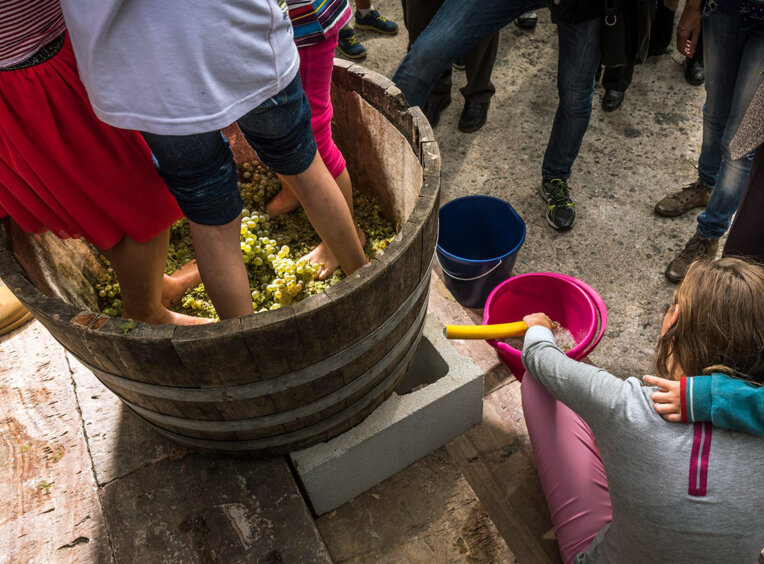 Festa de la Verema del Bages. Foto: Oscar Rodbag
