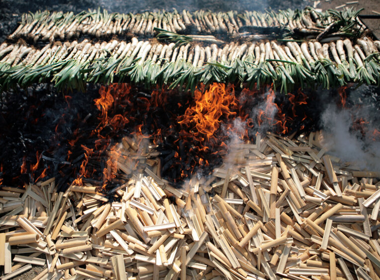 Fira de la ceba i el calçot de Vila-sacra