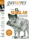 Dossier: El senglar