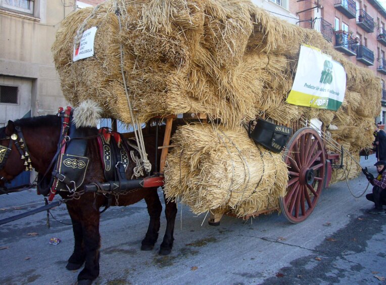 Carro carregat de palla. Foto: Jordi Ferrer